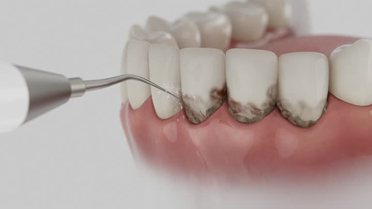 Reliable Dental contractor in Hampton, SC by Dentist Open Now
